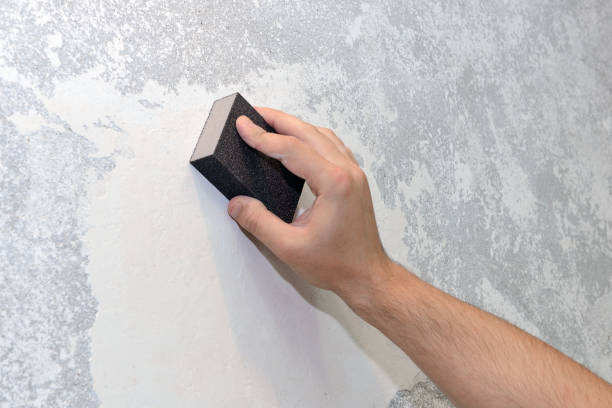 Best Mold-Related Health Consultation  in Camden, NJ