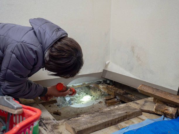 Asbestos and Lead Testing During Mold Inspection in Camden, NJ