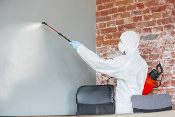 Best Dehumidification Services  in Camden, NJ