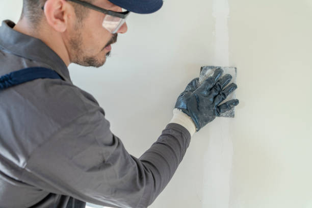 Best Forensic Mold Investigation  in Camden, NJ