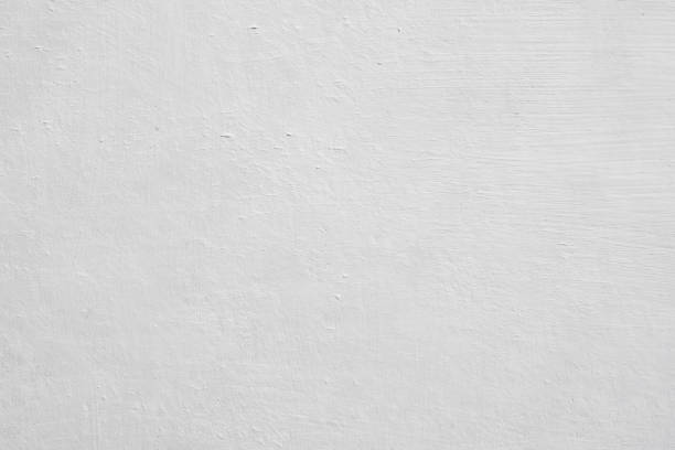 Best Environmental Consulting for Mold Prevention  in Camden, NJ