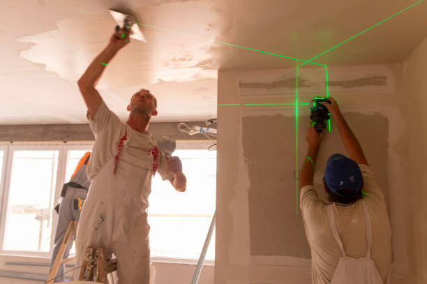 Best Black Mold Removal  in Camden, NJ