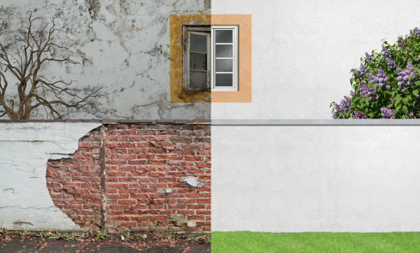 Best Commercial Mold Inspection  in Camden, NJ